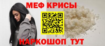 гашик Кингисепп