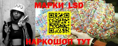 гашик Кингисепп