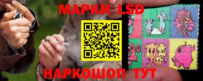 гашик Кингисепп