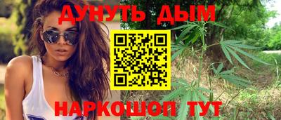 гашик Кингисепп