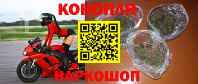 гашик Кингисепп