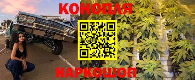 гашик Кингисепп