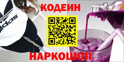 гашик Кингисепп
