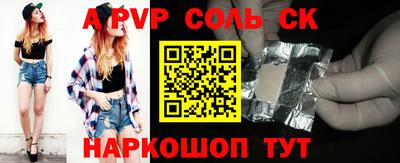гашик Кингисепп