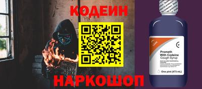 гашик Кингисепп