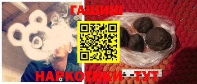 гашик Кингисепп