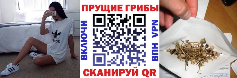 даркнет сайт  Коркино  маркетплейс формула  Галлюциногенные грибы прущие грибы 