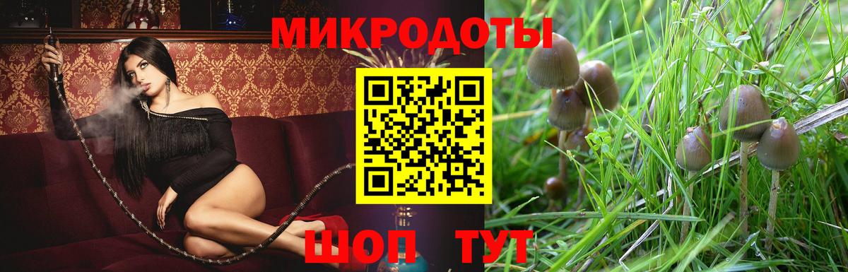 Галлюциногенные грибы Magic Shrooms  Вход с VPN  Коркино 