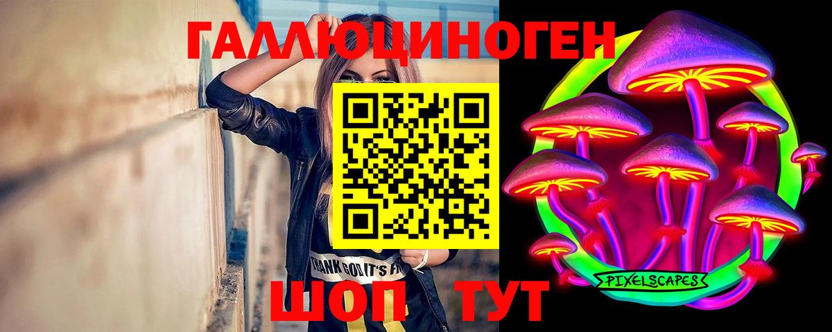 Галлюциногенные грибы прущие грибы Коркино